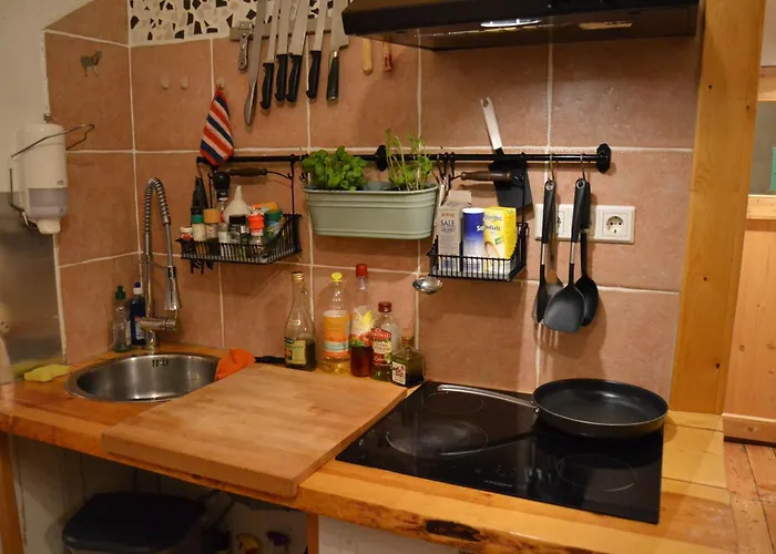 Weisses Roessl بيت شباب *