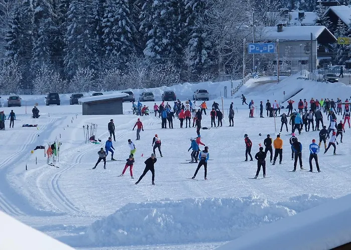 Weisses Roessl ホステル