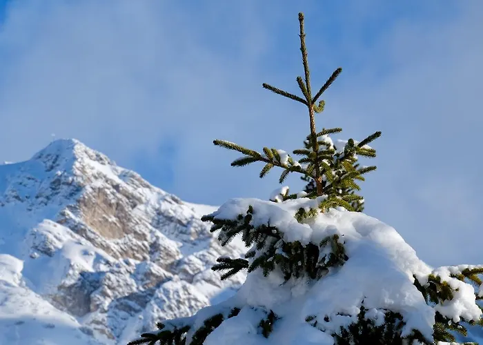 ホステル Weisses Roessl ロイタシュ