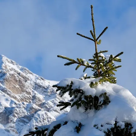Hostel Weisses Rössl Leutasch